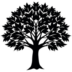 Obraz premium A paperbark maple tree silhouette vector illustration 