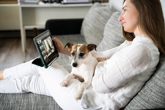 Interior designer examining floor plan on tablet PC and sitting with dog at home