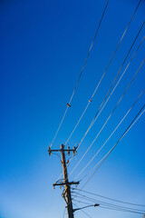 Birds on power lines