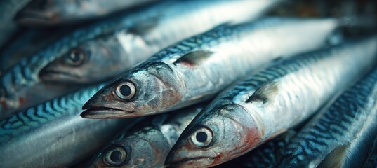 Obraz premium Marlin swordfish. Generative AI technology.