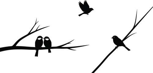 Black Silhouettes of Birds on Tree Branches and Flying perched © MdMoziburRahman