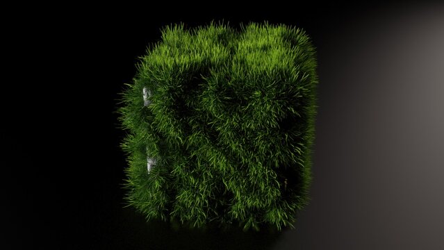 Abstract grass cube