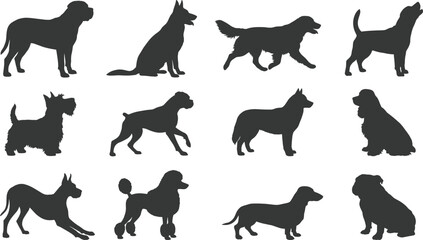Collection of twelve dog breed silhouettes arranged in grid layout showcasing diverse canine shapes, profiles, ear types, tail positions, and fur textures in vector illustration