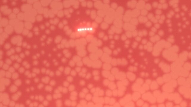 coral pattern abstract red background sea texture Animation Motion.