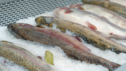 Fresh rainbow trout displayed on ice in seafood market for sale © Наталья Добровольска