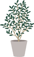 オリーブのイラスト