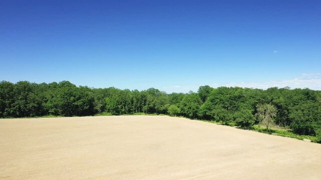 Wide view of a golden wheat field bordered by dense green forest under a clear blue sky in the Nivernais countryside, France.
