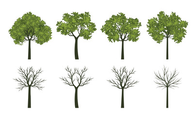 Fototapeta premium Set of green Avocado Trees with Leaves. Outline Illustration.