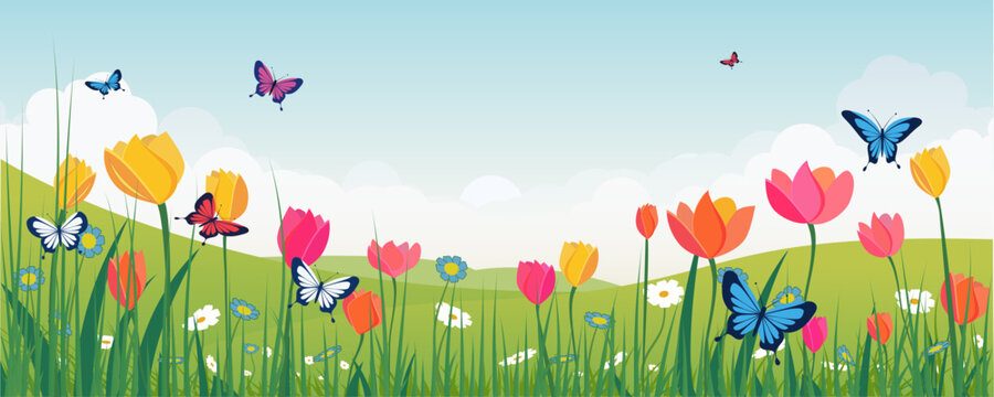 Spring meadow vector illustration with colorful tulips, wildflowers and flying butterflies over green rolling hills under soft cloudy sky.