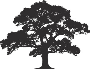 Fototapeta premium Large black silhouette of a tree with wide-spreading branches and dense foliage white