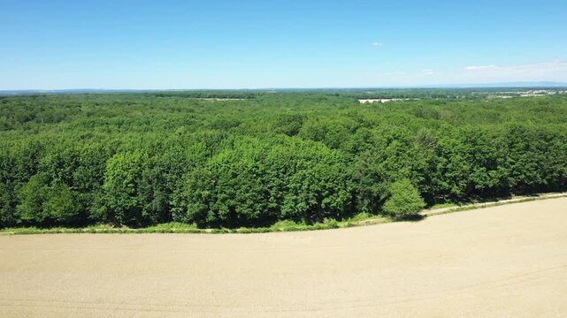 Drone view of a lush green forest bordering a golden agricultural field under a clear blue sky in the Nivernais countryside, France.