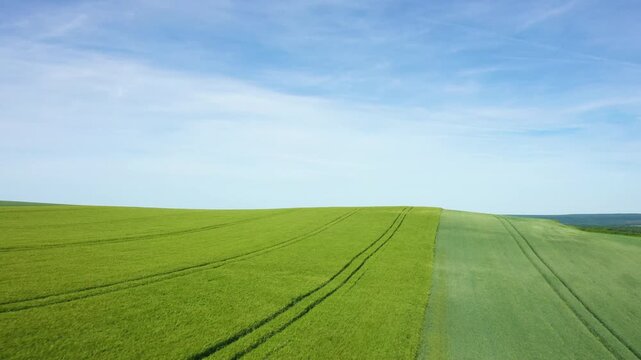 Wide green agricultural field with parallel tracks under a clear blue sky in Cuncy les Varzy, France. Peaceful rural landscape ideal for nature and countryside concepts.