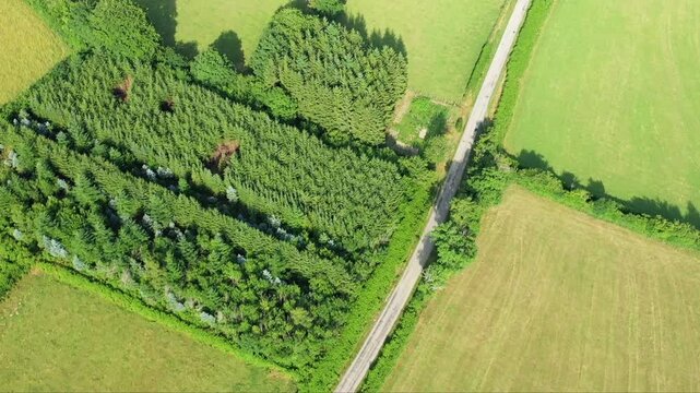 Drone shot of a country road winding through green fields and dense forest in the Morvan region, France, on a sunny summer day.