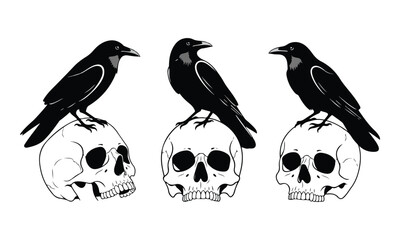 Fototapeta premium Black Ravens Perched on Human Skulls Vector Illustration
