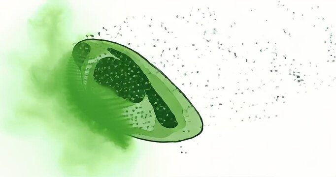 Green Globe and Cells Breaking Apart.
