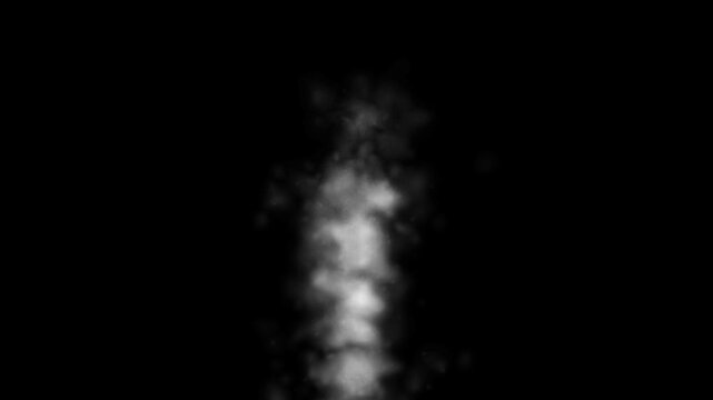 Realistic White Mist Smoke Overlay Animation. smoke rising from food or hot drink on transparent background. Natural steam rising upwards. white smoke rise vertically stock video.