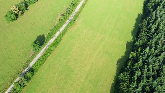 Drone shot of a rural road running alongside green fields and dense forest in the Morvan region, France. Bright summer landscape with natural textures and contrasting colors.