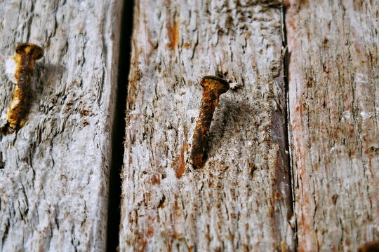 Clou rouill&eacute; plant&eacute; dans une vieille planche de bois brut.