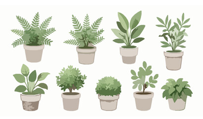 Fototapeta premium Watercolor Potted Green Plants Vector PNG Set Isolated on White Background