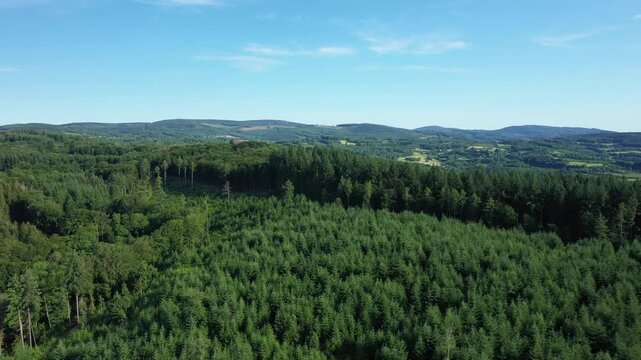 Aerial view of dense green forest and rolling hills under a clear blue sky in the Morvan region of France. Tranquil natural scenery ideal for concepts of wilderness and serenity.
