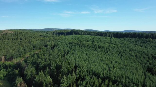 Aerial view of dense green forest under a clear blue sky in the Morvan region, France. Scenic natural landscape with rolling hills and evergreen trees.