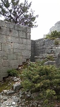 Interior view of Golo Brdo fortress with stone walls and wild juniper. Reflects abandoned military infrastructure, passage-of-time narrative, resilience of nature, and historic Balkan fortification.