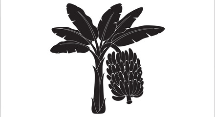 banana tree with a bunch of fruit as a solid black silhouette icon vector illustration © Israt