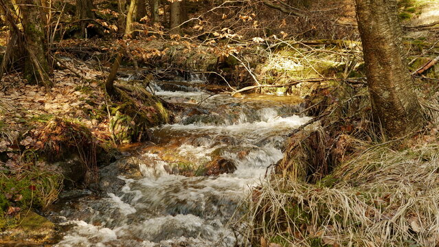 Der Ochsenflo&szlig;-Bach - Abfluss des Ochsenbruch Moores