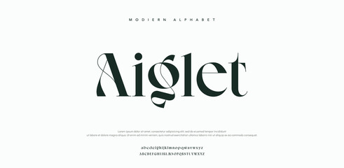 Modern elegant typography design with Aiglet font © Money
