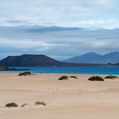 Obraz premium Fuerteventura sand dunes in Corralejo, Spain, Canaries