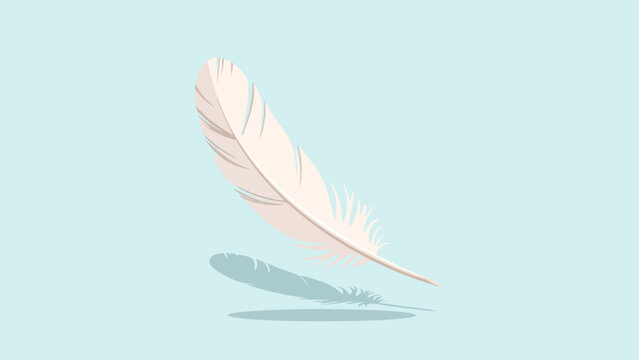 A light pink feather floats above a light blue surface casting a subtle shadow