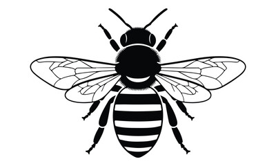 Obraz premium Honeybee Insect Silhouette Icon Illustration on White Background