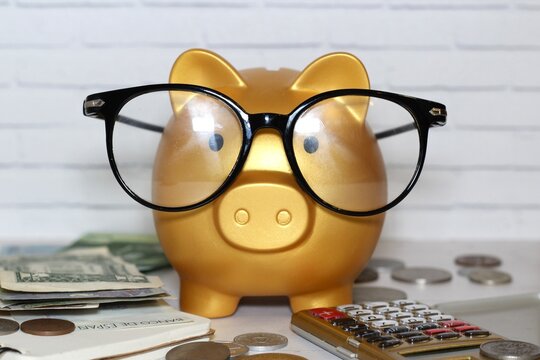 Nice cute lovely golden piggy bank in glasses calculator coins and magnifying glass counts money plans future invest	
