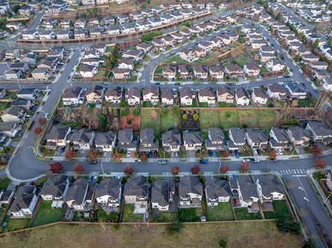 Aerial view of neatly arranged houses with dark roofs, interspersed with green lawns and budding trees, Lake Tapps, Washington, United States.