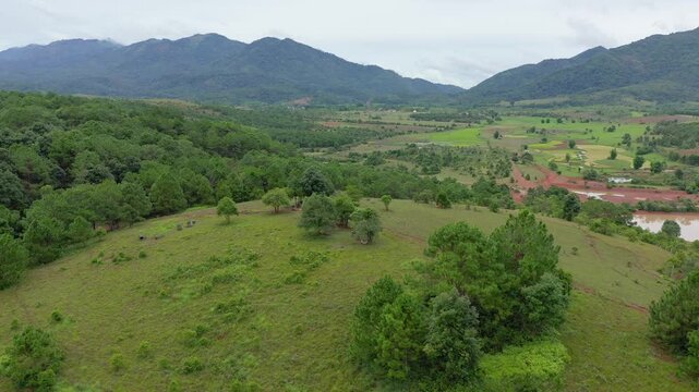 Aerial shot of the lush green hills and open fields of the Plaine des Jarres in Laos, with distant mountains under a cloudy sky.
