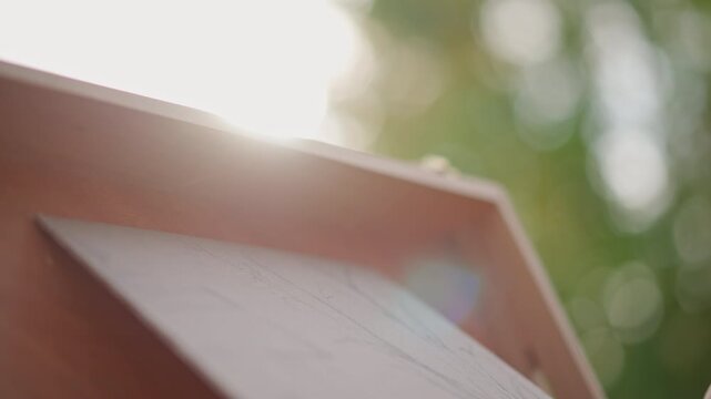 Artist sketching on easel outdoors, sunlit street scene with closeup hand using pencil then eraser to refine charcoal and pencil marks on textured paper held on wooden easel, soft bokeh greenery