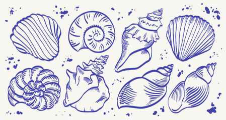 Mediterranean seashell collection with detailed blue line shell illustrations isolated on white background. Vintage marine elements inspired by coastal nature, ideal for seaside, beach and sea themes. © Danchenko