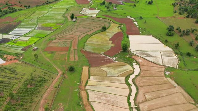 Drone shot of colorful patchwork rice paddies and farmland in the Plaine des Jarres, Laos, showing vibrant green and brown agricultural fields divided by irrigation channels.