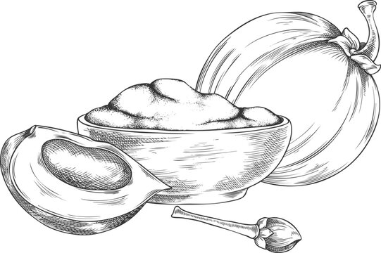 Lucuma fruit cut and whole, bowl of powder sketch, vector engraved hand drawn ripe tropical eggfruit product, superfood
