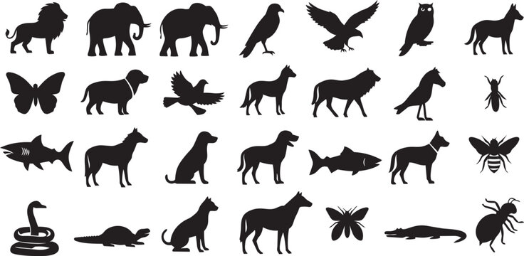 Animal silhouette collection wildlife bird insect fish mammal reptile domestic farm nature black icon set isolated illustration.