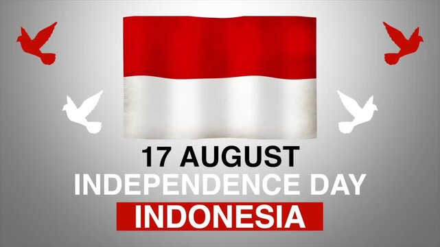 Indonesia independence day animation with waving national flag and flying doves on grey background