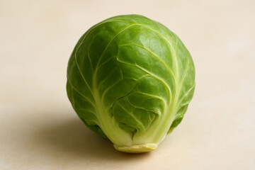 Fototapeta premium Raw Fresh Brussels Sprout Macro View