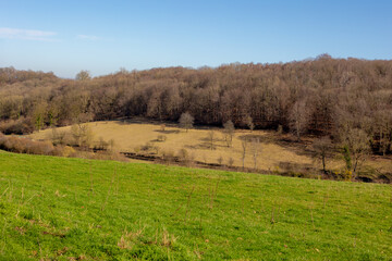Winter landscape, The terrain of countryside with green grass field on slope hillside, Bare tree in the forest under blue sky, Dutch province of Limburg, Valkenburg aan de Geul and region, Netherlands