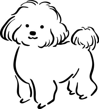 Cute dog poodle doodle hand drawn illustration