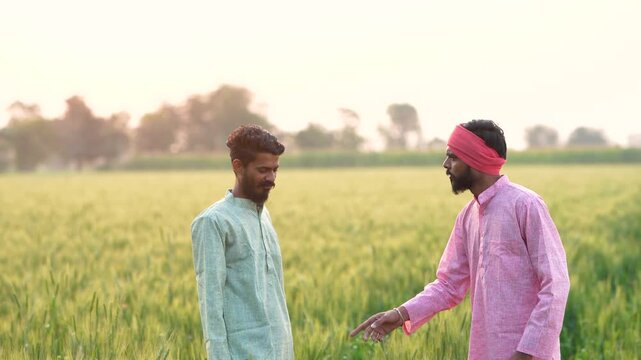 Two indian farmer standing at wheat agriculture field	