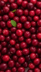 Vibrant Cranberry Pattern A Rich Red Background Ideal for Autumn Designs and Stock Imagery.