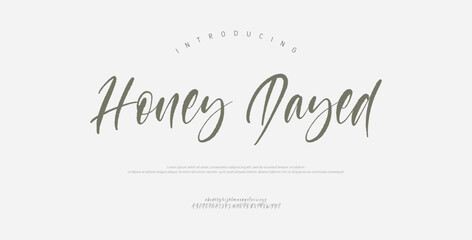 Honey Dayed, Script premium luxury elegant alphabet letters and numbers. Elegant wedding typography classic serif font decorative vintage retro. Creative vector illustration  © Gizmo Design