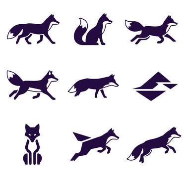 Collection of various fox silhouettes in different poses and shapes  animal icons