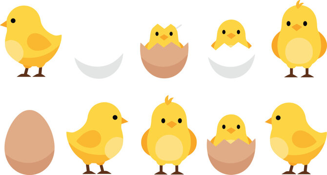 Cute Baby Chick Collection with Egg, Hatching Chick, and Cartoon Yellow Chicken Vector Illustration Set for Easter and Spring Designs