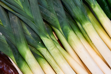 Fresh leeks showing healthy green and white parts